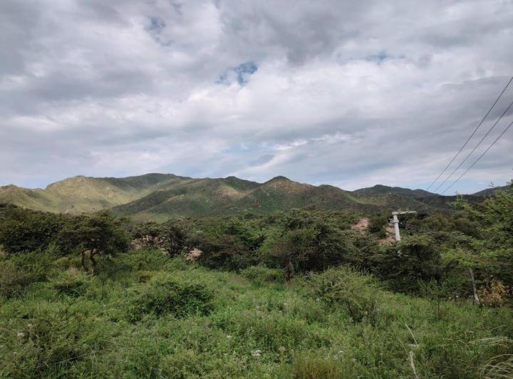 Terreno · 568m²