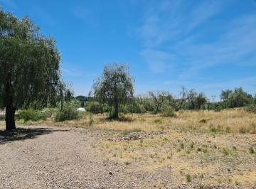Terreno , Perdriel · Lote en Venta, Localidad Lujan de Cuyo, Perdriel, Provincia Mendoza Argentina Imperdible Oportunidad
