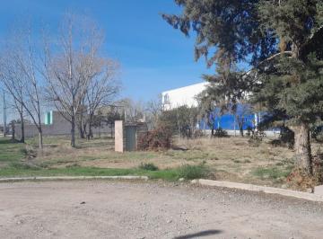 Terreno · 355m² · Terreno en Venta, Barrrio Los Tilos, General Roca.