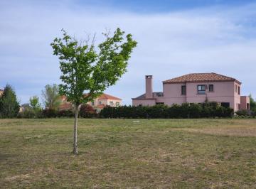Terreno · 1500m² · Lote en Venta en Pilara El Tonó | Vco Propiedades