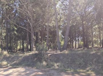 Terreno · 936m² · Terreno en Marítimo III