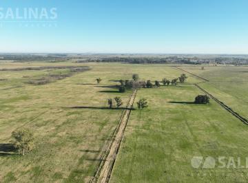 Campo · 1000000m² · Campo en General Las Heras