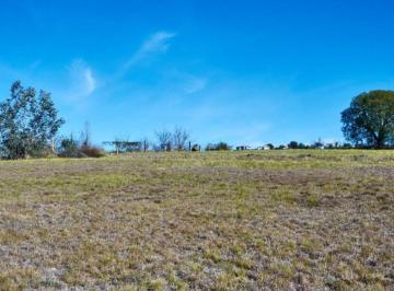 Terreno  Venta USD 16.500 · En Venta Lote en Solar Los Reartes - Tlc0905