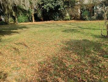Terreno , Pueblo Esther · Lote Esquina en Venta, Pueblo Esther