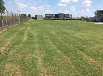 Terreno · 1284m² · Lote Mediterráneo en Barrio Náutico Albanueva, Rincón de Milberg