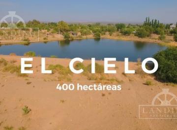 Campo · 25m² · 1 Ambiente · Campo en Venta - Finca Productiva en Mendoza