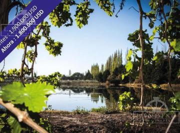 Campo · 820000m² · 1 Ambiente · Campo - Finca Productiva de Primer Nivel, Mendoza, 80 Ha