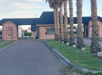 Terreno , San Rafael · Lotes de 700 m² en Viñas del Sur