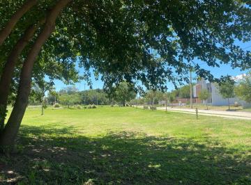 Terreno · 250m² · Terrenos en Venta en Jardín de Las Tejas