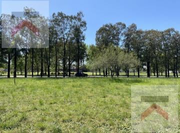 Terreno · 10000m² · Lote 10.000 m² (1 Hectarea) con Escritura en Estancia La Macarena Capilla del Señor