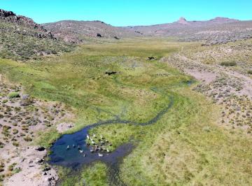Campo · 52490000m² · Campo en Clemente Onelli - Río Negro