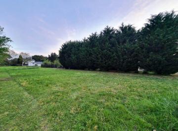 SCB-SCB-360_2 · Lote. | Paseo del Talar y Paseo del Pinguino Al 100