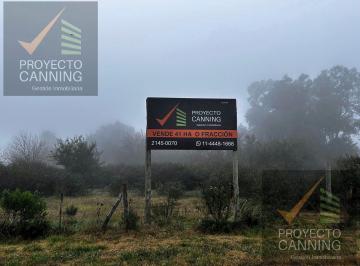 Campo · 210000m² · Campo en Alejandro Petión, Partido de Cañuelas
