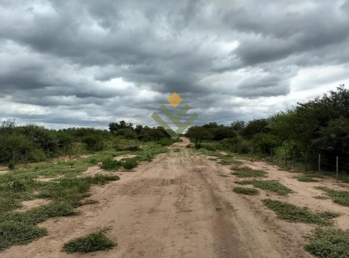 Campo · 2400m²