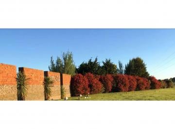 Terreno , San Clemente del Tuyú · Barrio 314 Lote C11. 1000 m²