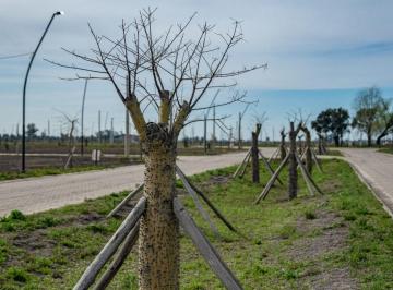 Terreno · 360m² · Lotes en Neander Villa Amelia