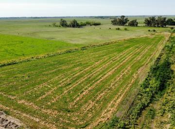 Campo , Loma Verde · Fracción de 7 Ha Loma Verde, Partido de General Paz, Ranchos, Buenos Aires