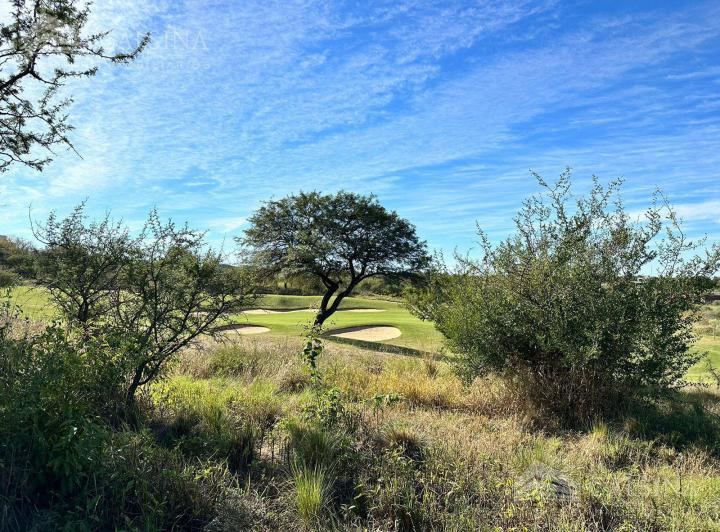 Terreno · 1561m²