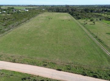 Campo · 60m² · 3 Ambientes · Campo de 10 Ha con Mejoras en Colón E. Ríos