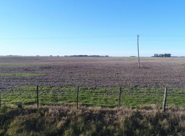 Campo · 175m²