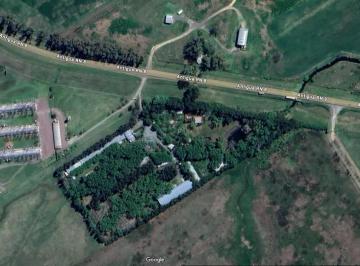 Edificio · 43000m² · 20 Ambientes · Edificio Comercial en Venta - 13 Casas 7 Galpones - 43.000 m² - San Antonio de Areco