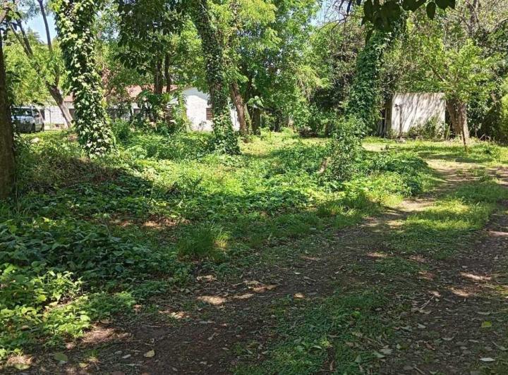 Terreno · 6181m²