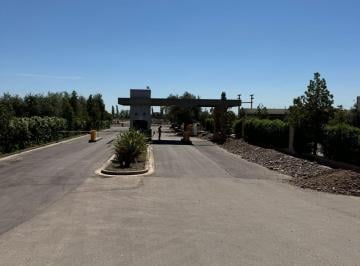 Terreno , Luján de Cuyo · Lote Barrio Las Vertientes