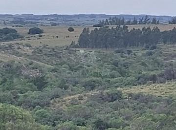 Foto1 · Campo de 19 Hás en Las Cañas