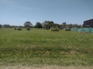 Terreno · 1427m² · Terreno Lote en Venta en Medal Cc, Pilar, G. B. a. Zona Norte