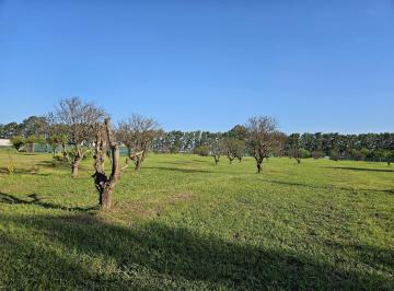 Terreno · 853m² · Terreno en Venta Azhares del Parana, Figuera
