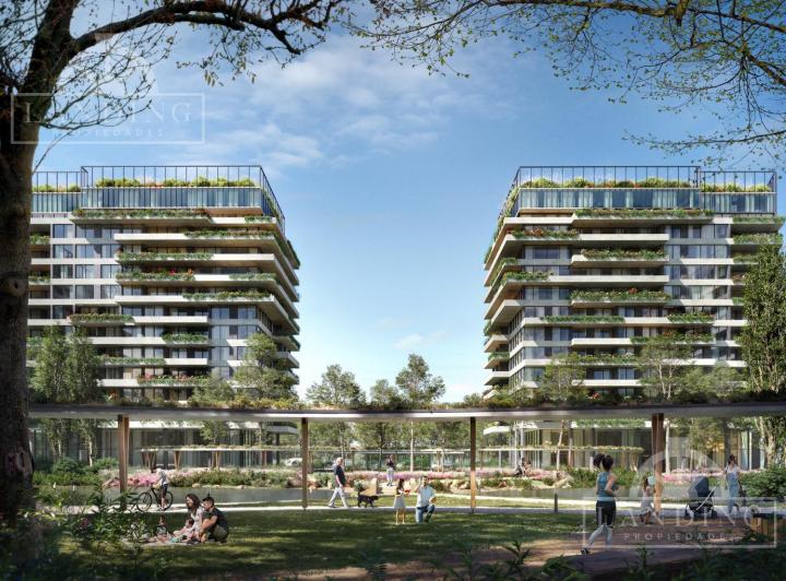 Desarrollo vertical · Furo Buenavista