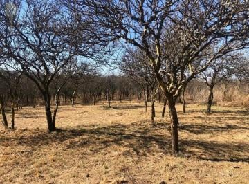 Terreno · 932m² · Lote en Venta | Bº Velez Crespo | San Ignacio
