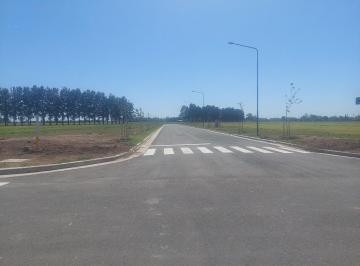 Terreno , General Lagos · Venta – Lote –ecolagos Oeste - 500 m².