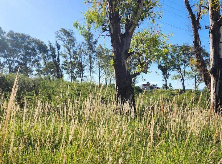 Terreno · 500m²