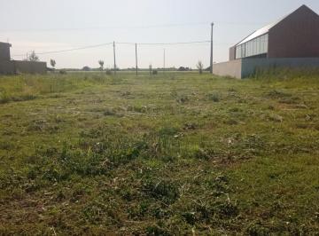 Terreno · 300m² · Terreno en Venta de 300 m² en Ruta 18 Km 13 Barrio Eco Vida