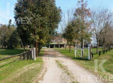 Campo · 5000m² · 5 Ambientes · Campo en Venta de 6 Hectáreas en Olmos