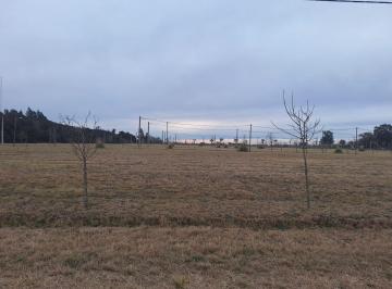 Terreno · 300m² · Venta: Terreno en Casilda