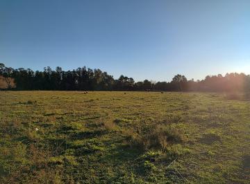 Terreno , Miramar · Chacra en Miramar