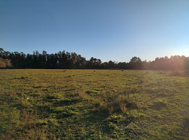Terreno · 1m²