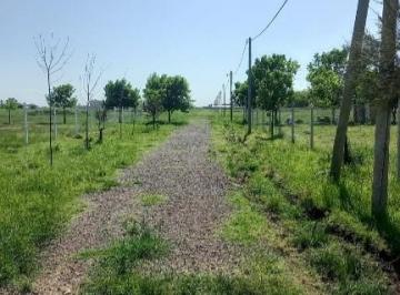 Terreno · 480m² · Terreno en Virrey del Pino