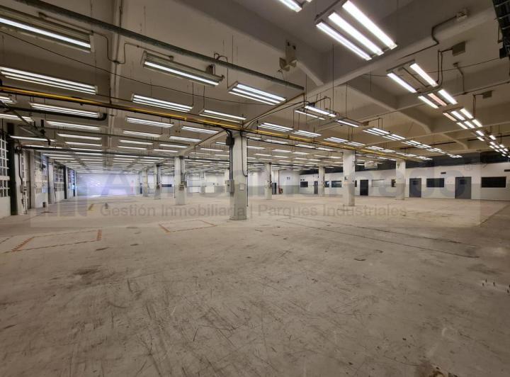 Bodega-Galpón · 10173m²
