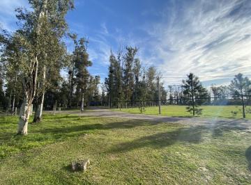 Terreno · 931m² · Terreno en Campo Timbo - Oliveros