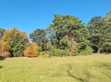 Imagen1 · El Boqueron - Venta 7,5 Ha