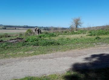 Campo , Mar del Plata · Lote Sierra de Los Padres