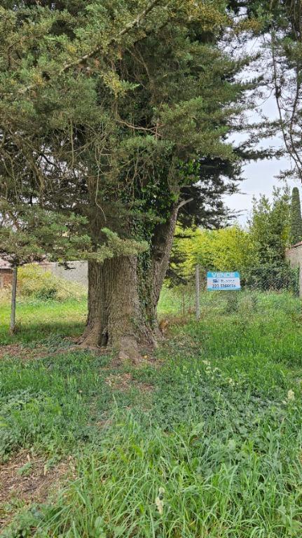 Venta de lote en el barrio La Florida, en la calle el Pampero entre Mascias y Esquivel, superficie de 360m2
