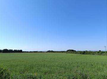 Quinta vacacional · 5m² · 1 Ambiente · Chacra de 5 Ha con Vista Al Rio