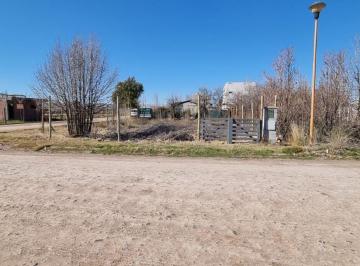 NQN-NQN-106_2 · Lote. | Los Juncos