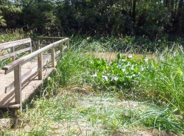 Terreno · 2100m² · 2 Dormitorios · Venta - Arroyo Gelvez a m del Arroyo Espera - Delta Tigre