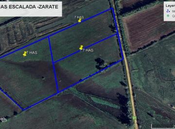 Campo , Zárate · Campo de 7 Has - 14 Has y 21 Has en Venta en Escalada - Zarate