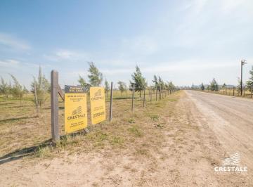 Terreno · 10000m² · Campo - Haras de Funes